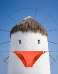 St Seagull of Mykonos