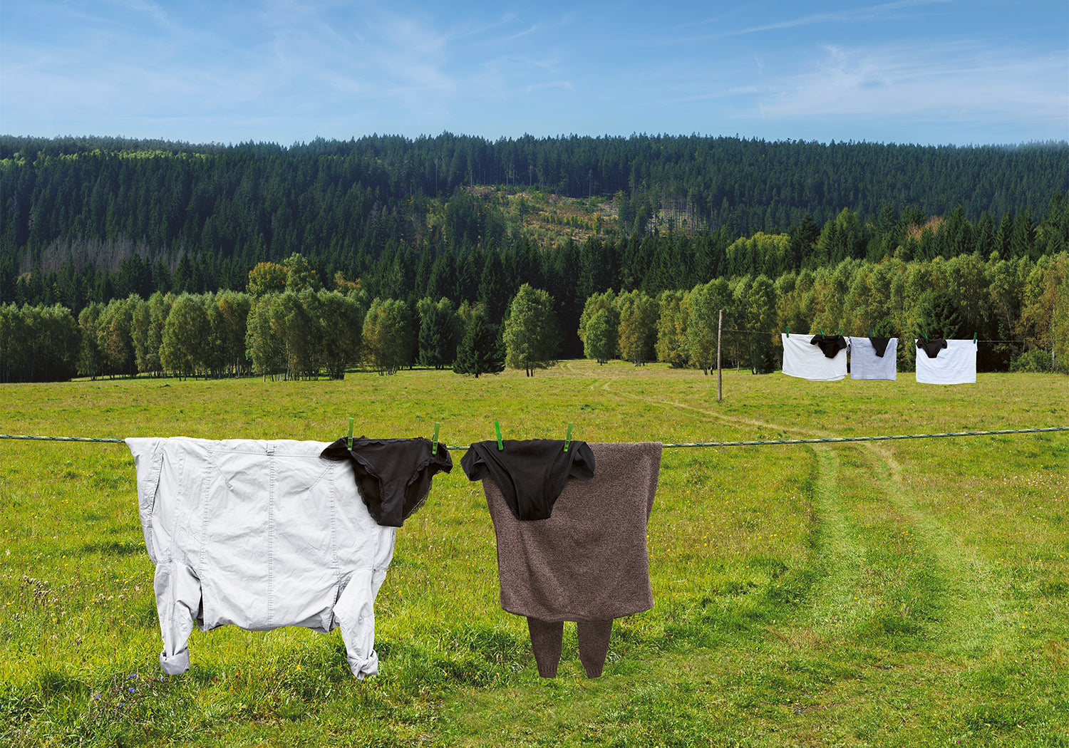 Sheep made of clothes hanging on the clothesline in cotswolds. Beautiful landscape, signed fine art print.