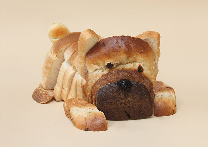 Edible Creatures Series