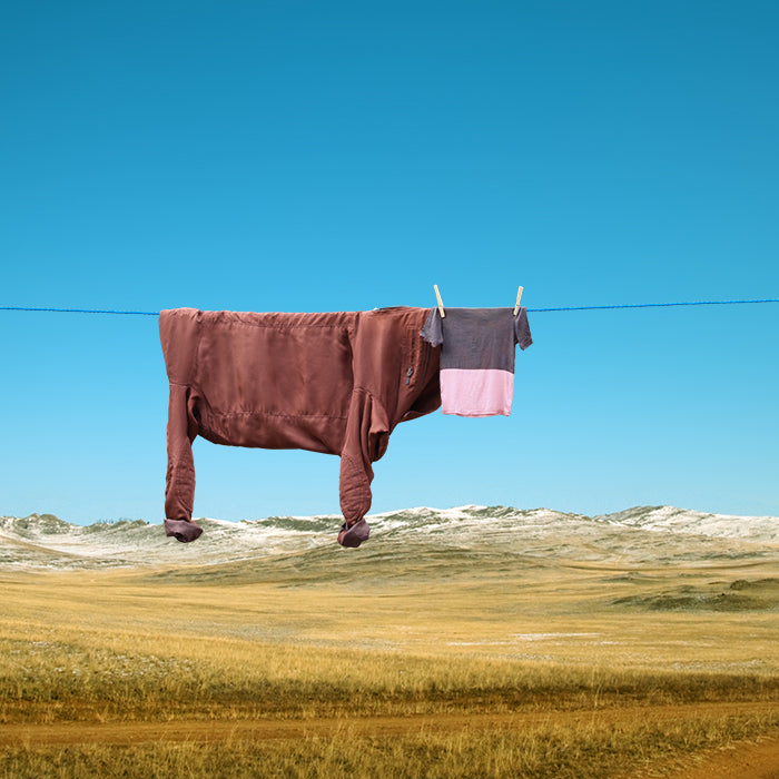 Clothesline Animals Series