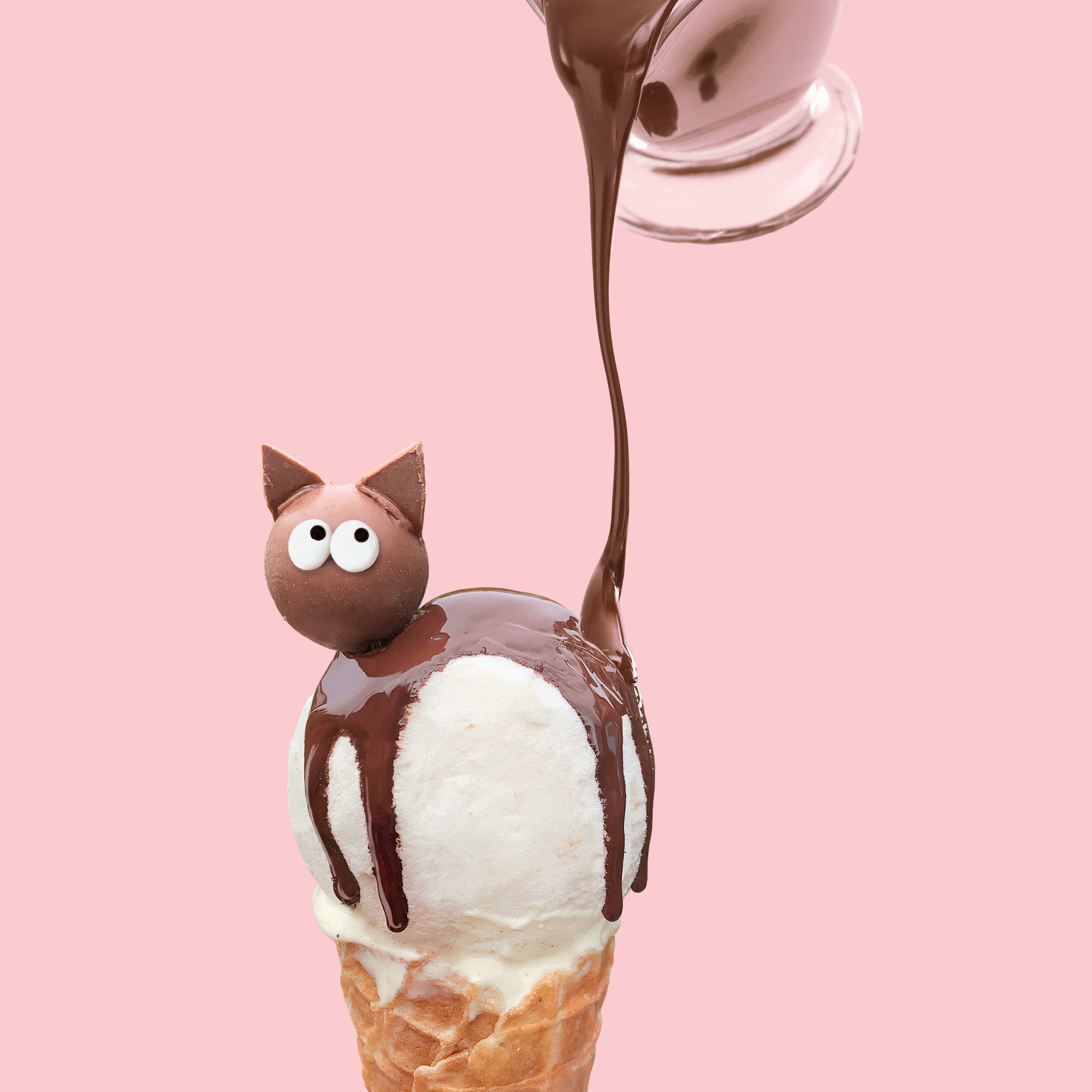 Choco-cat