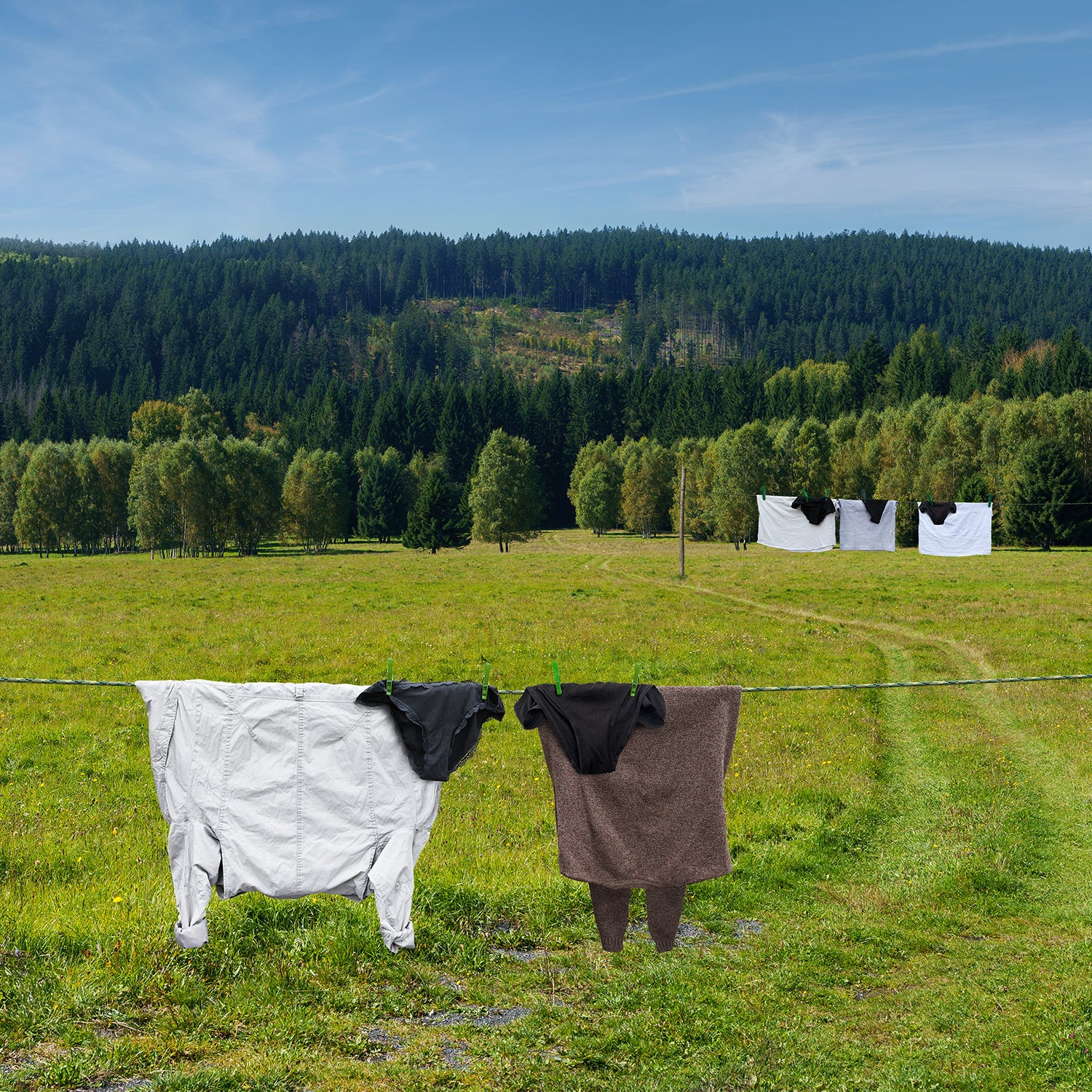 fine art print, signed print of sheep made of laundry, scenery, countryside, beautiful landscape
