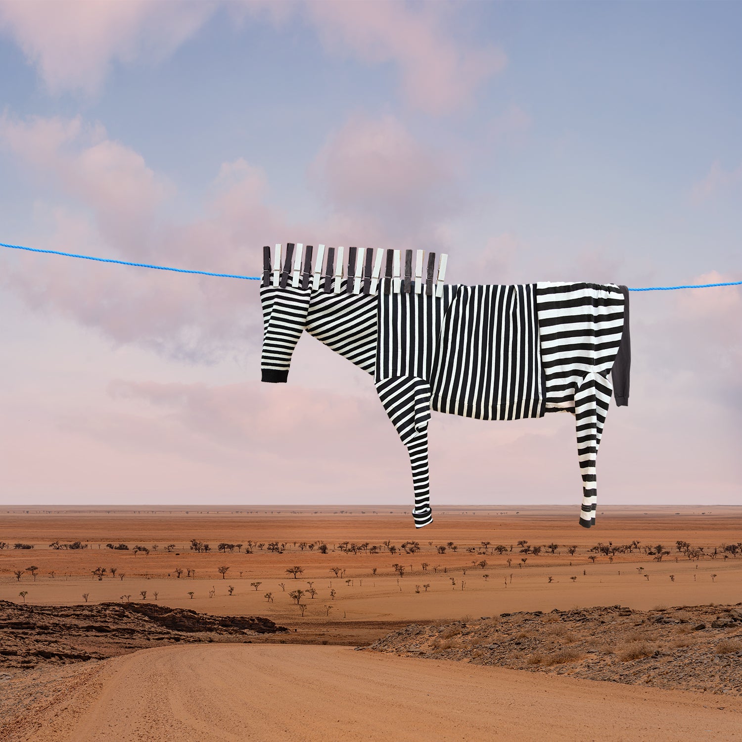 zebra_insta_1600x.jpg?v=1657641575